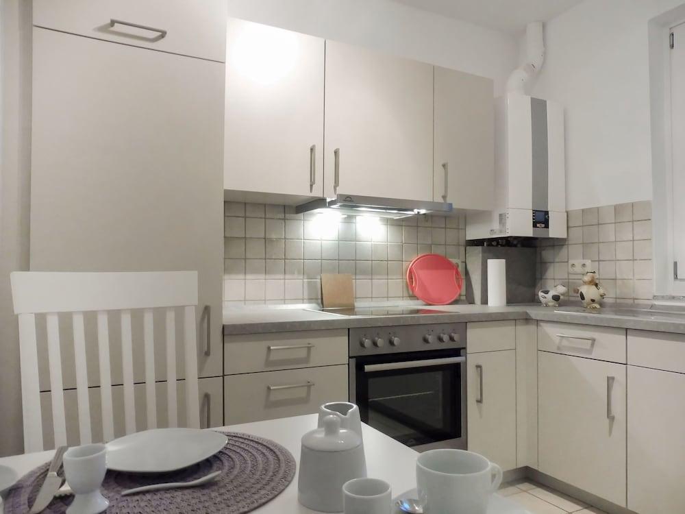 Seeschwalbe Warwerort