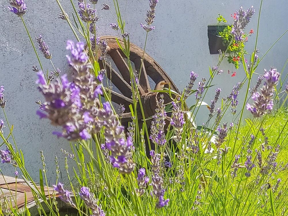 Stefanina Salakovci in Salakovci