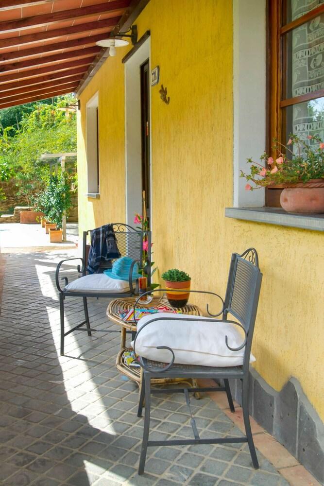 Laia Seravezza in Seravezza