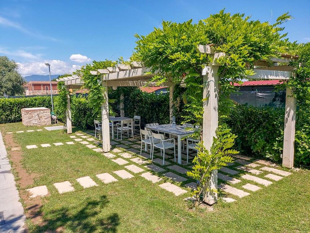 Glicine Capannori in Capannori