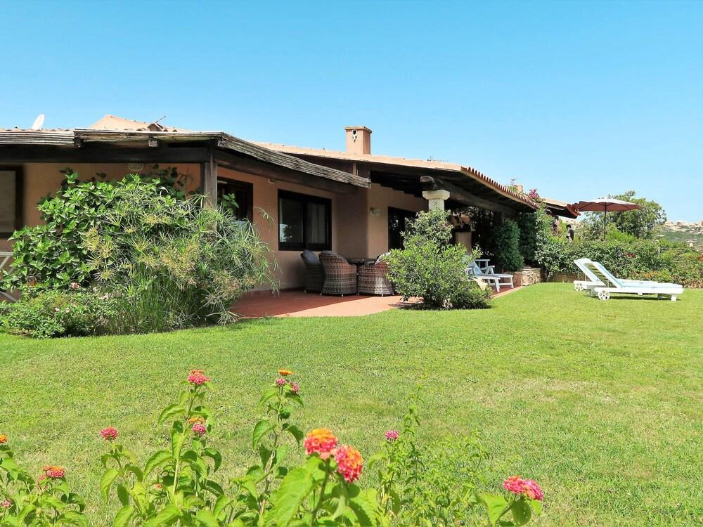 Mimosa Punta Sardegna