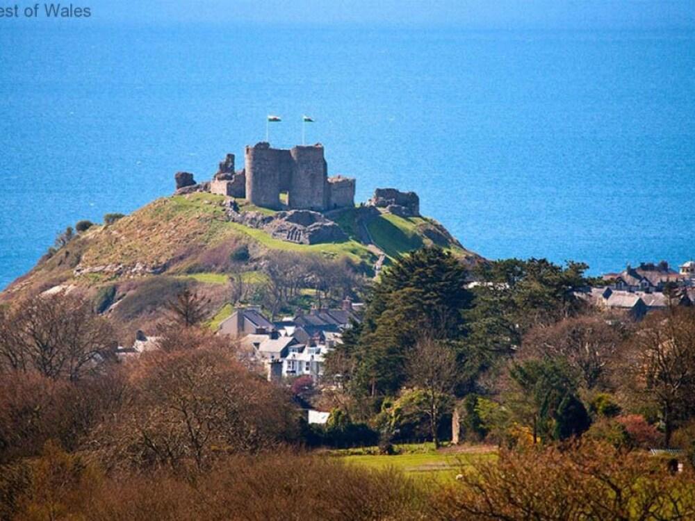 Dillio Bryncir in Bryncir