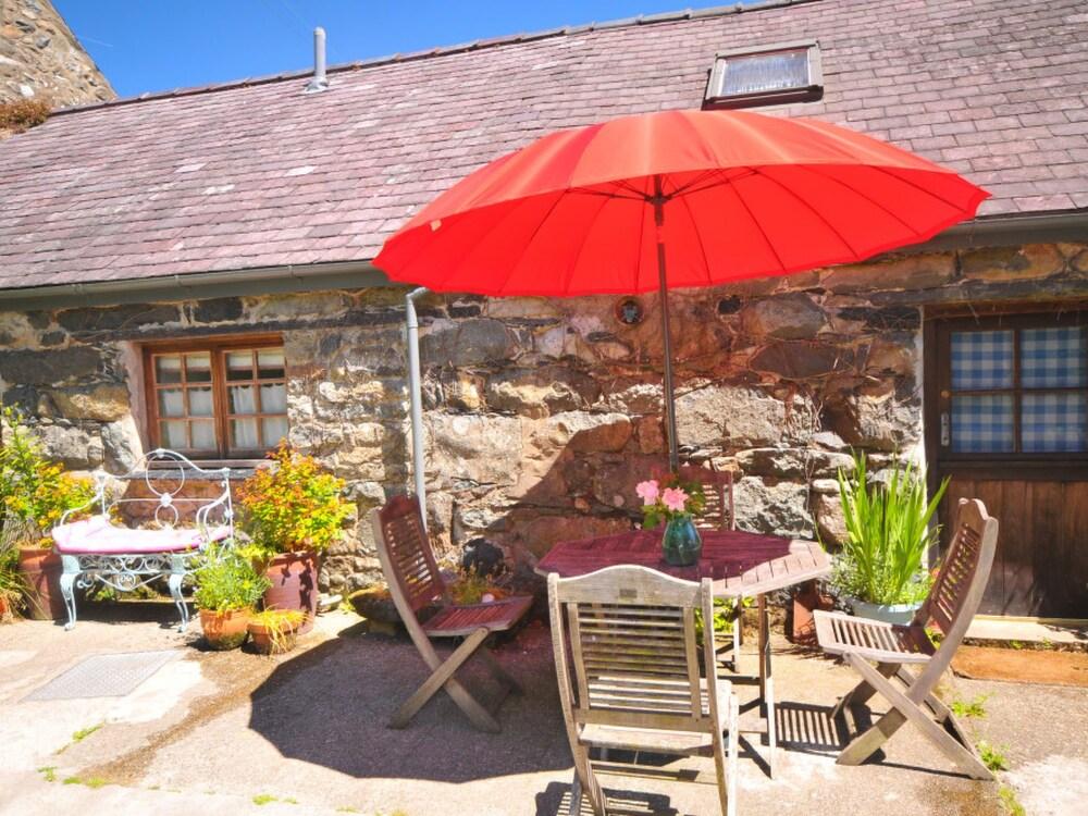 Dillio Bryncir in Bryncir