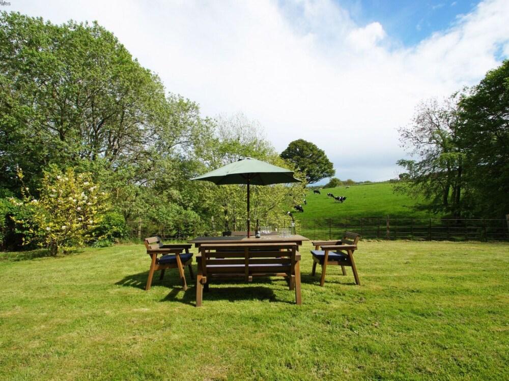 Penny Den Henllan in Henllan