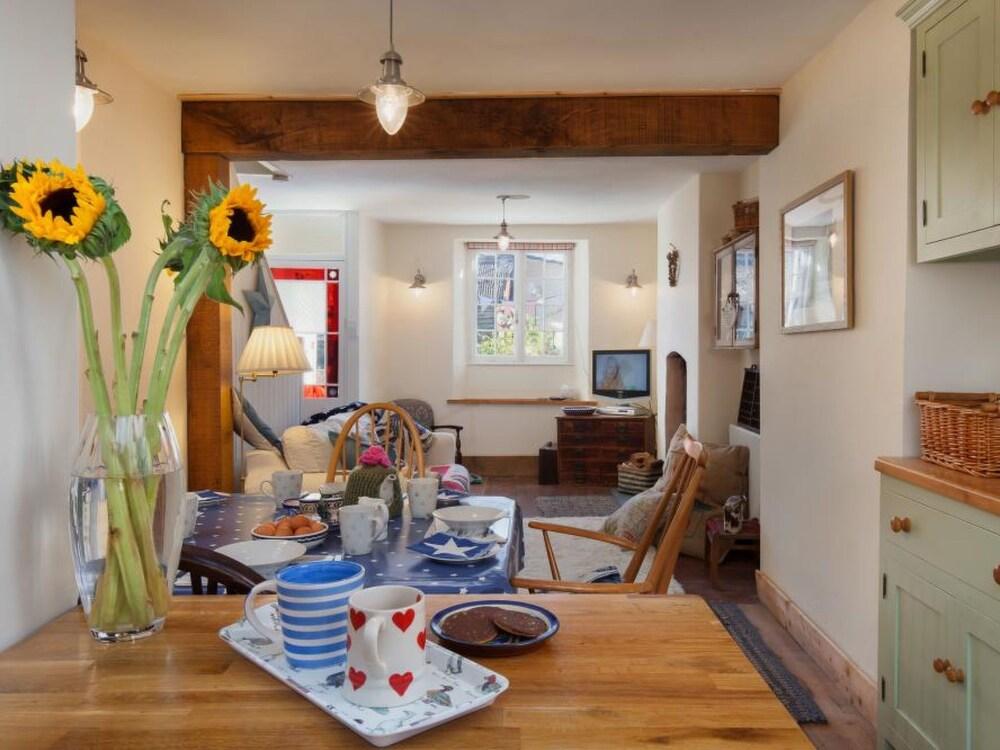 Starco Shaldon in Shaldon