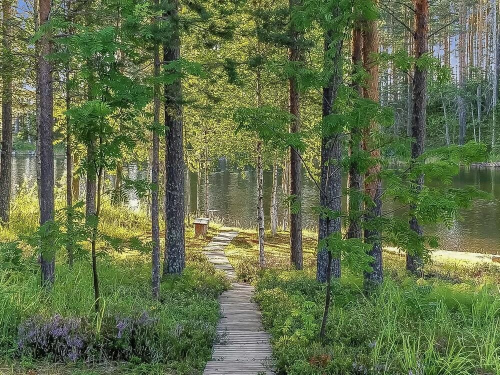 Luonnonhelma Savonlinna