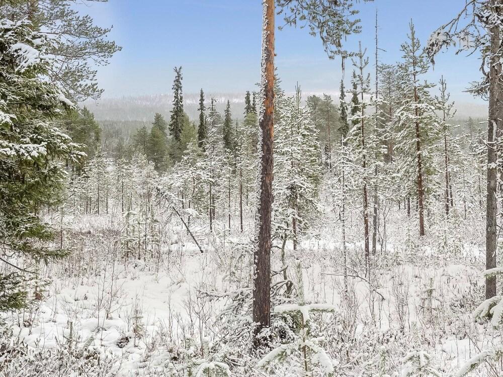 Teppolan Rinne Salla