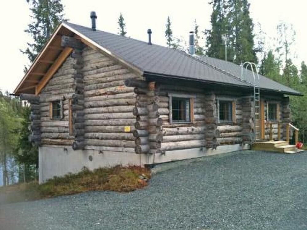 Muuttohaukka Kuusamo