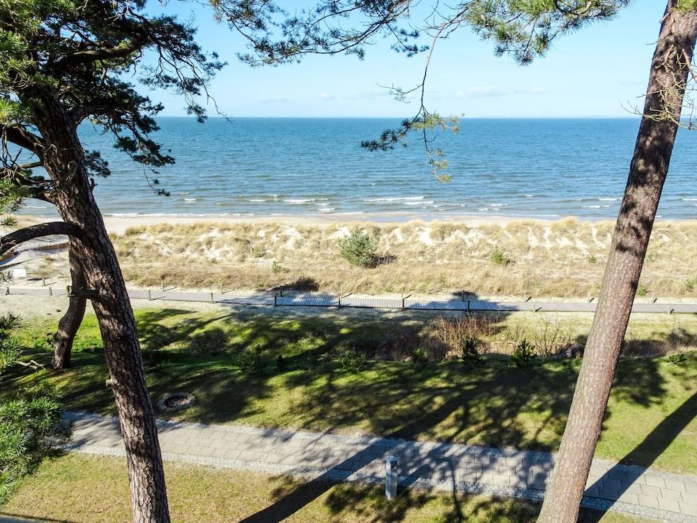 Blaumuschel Lubmin in Lubmin