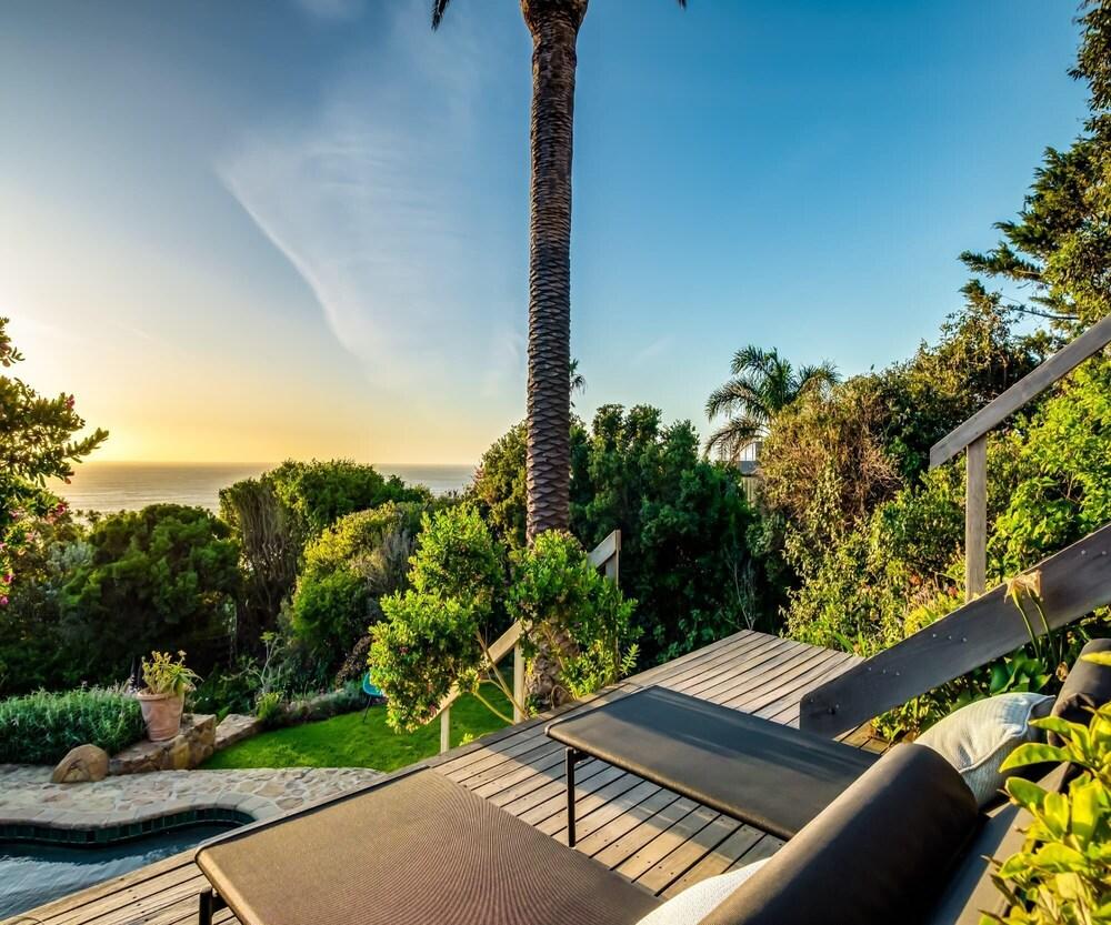 The Palm in Cape Town