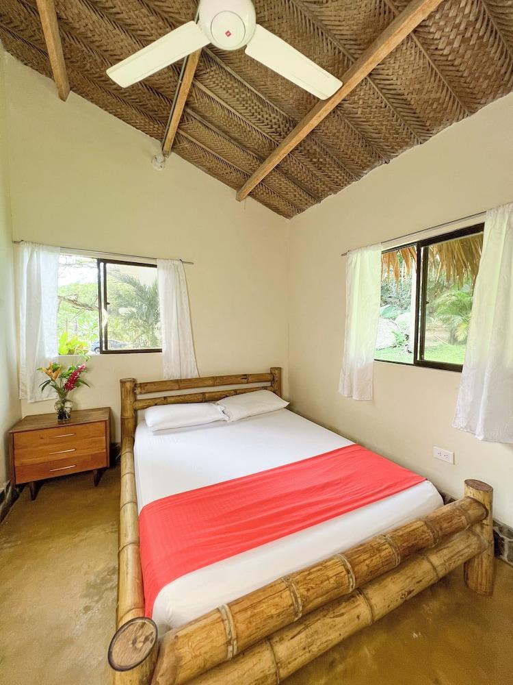 Tayrona Cachaco River