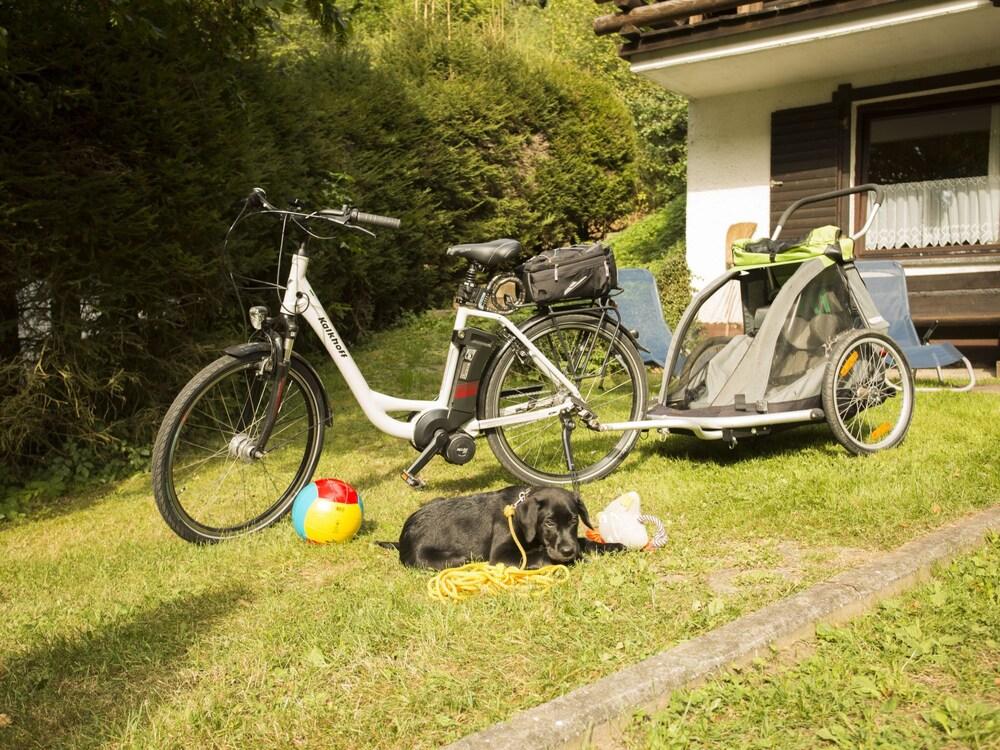 Reinskopf Sch Necken