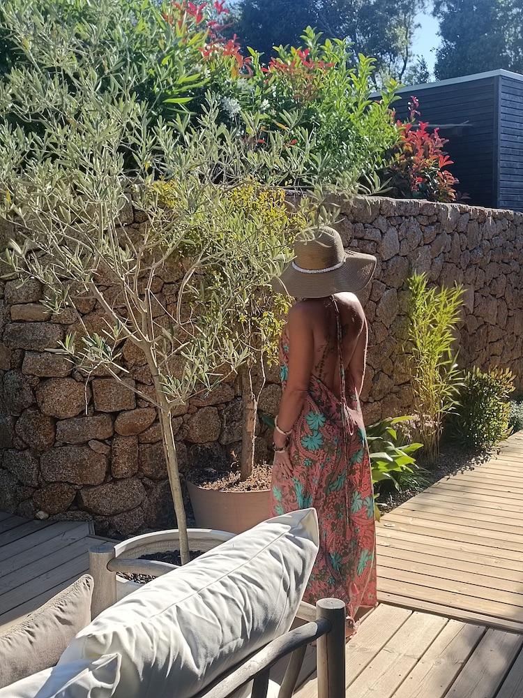 Les Suites Du Maquis