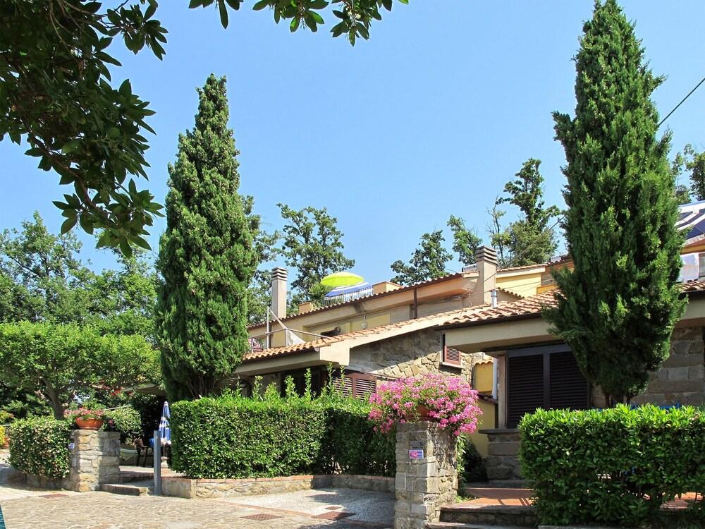 Girasole San Baronto