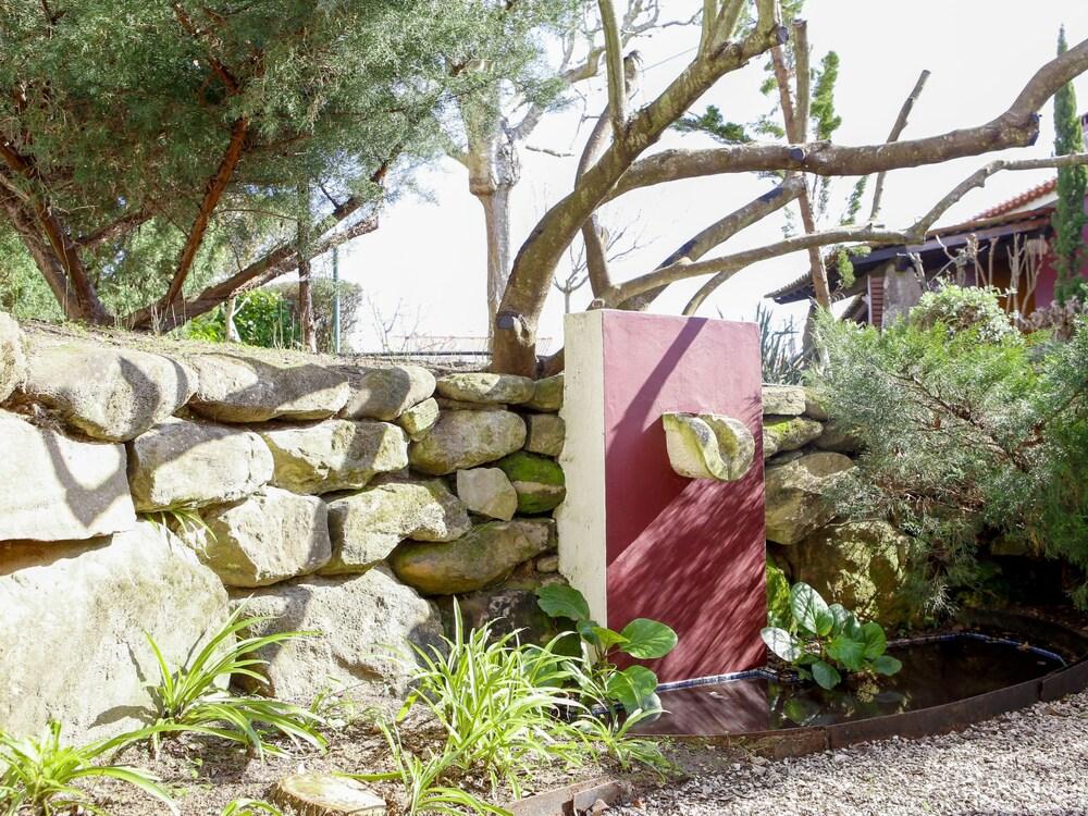 Dolivia Cela in Cela