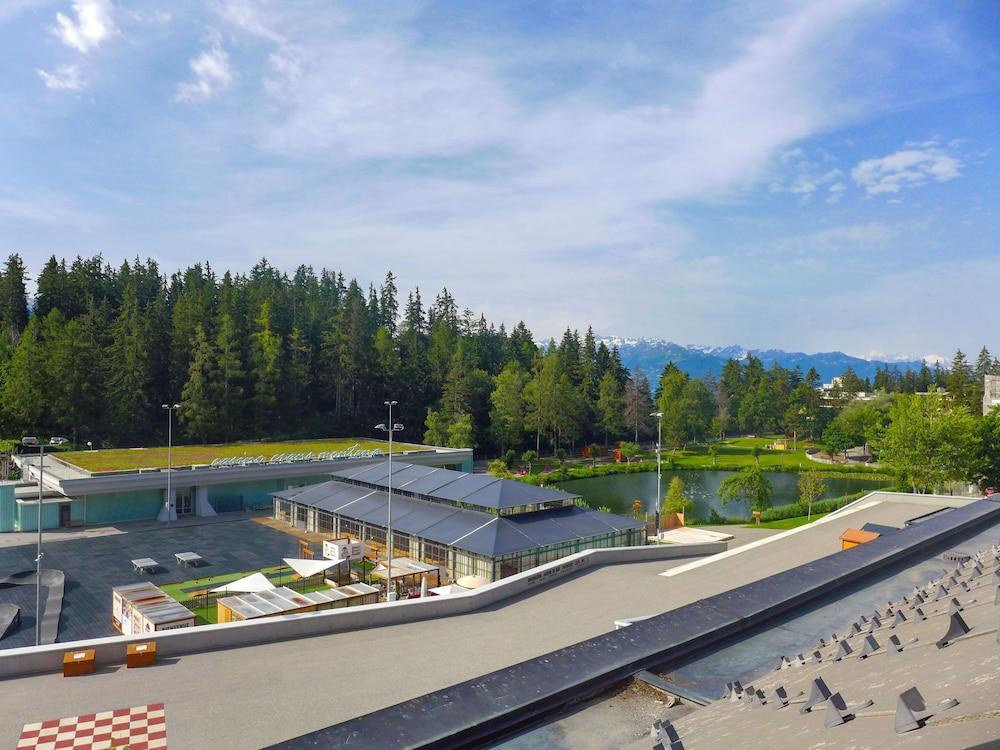 les Vignettes Crans-montana