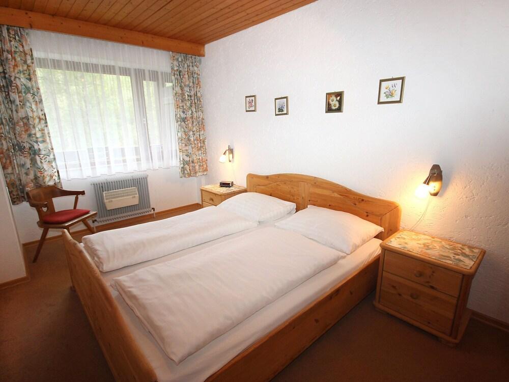 Birkenwald Seefeld in Tirol