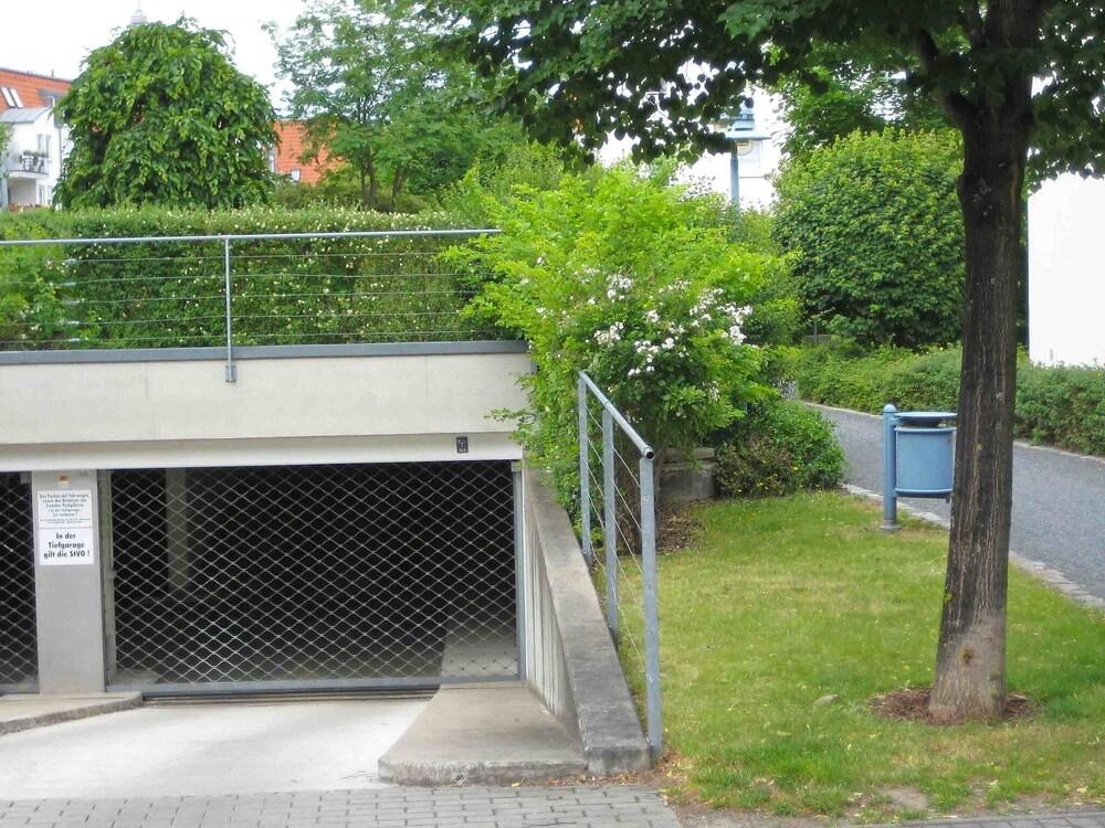 Kamelienweg Dresden in Dresden