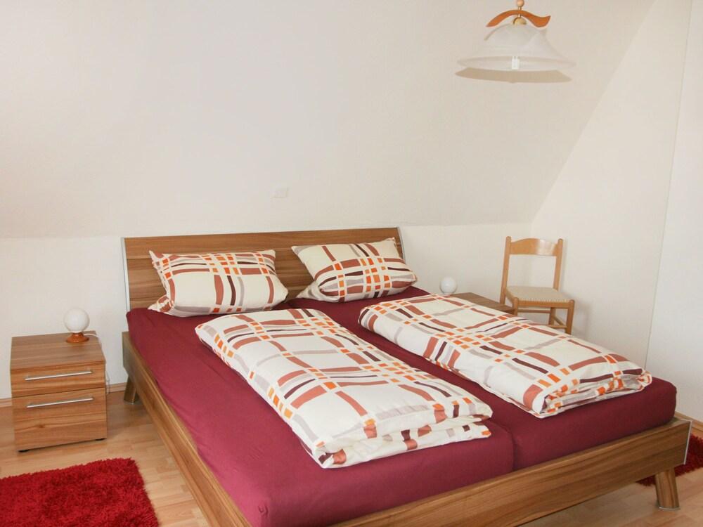 Kamelienweg Dresden in Dresden