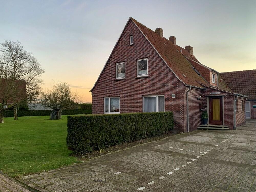 Fischer Norden in Norden