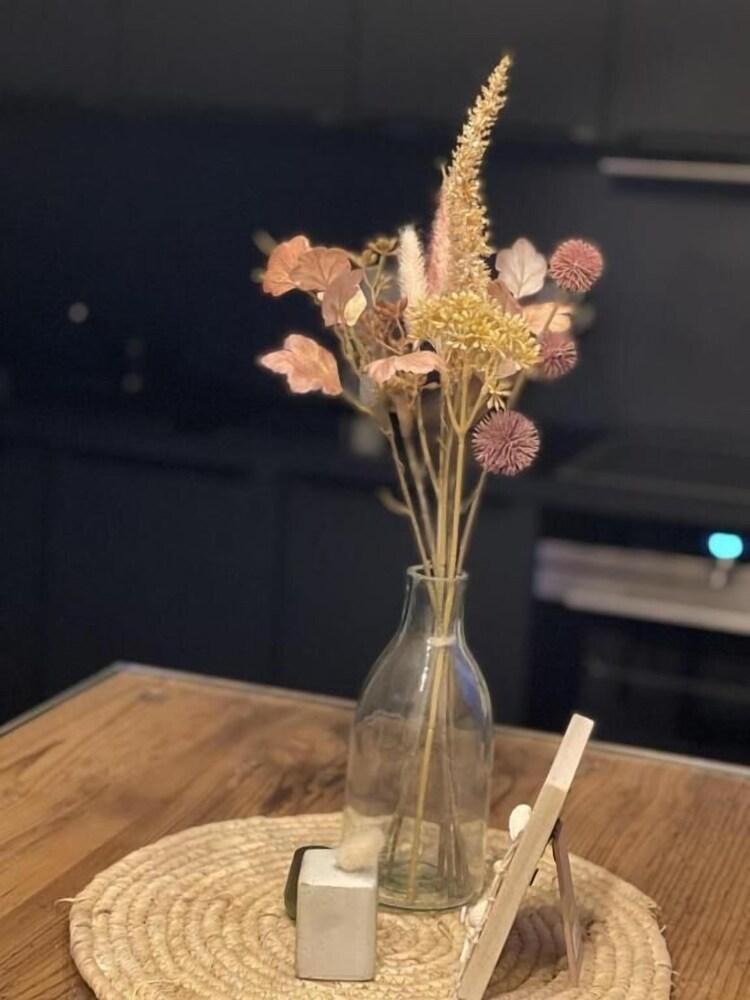 Revier Albatros 23 - KASTELLA