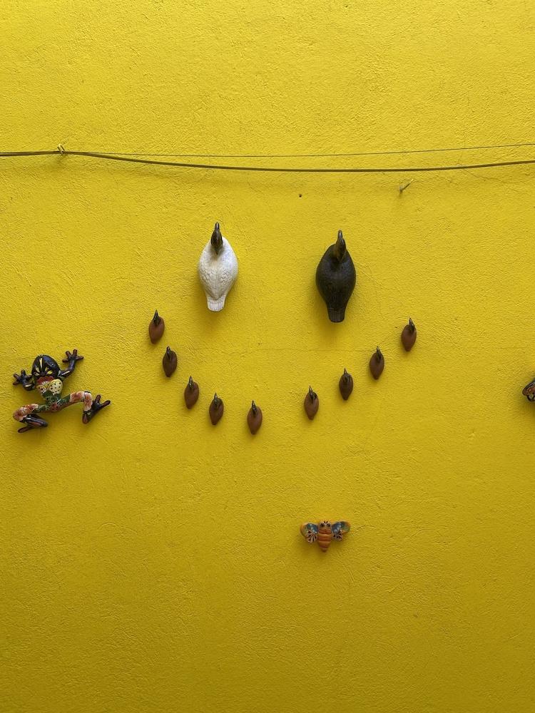 Casa Morado San Miguel de Allende