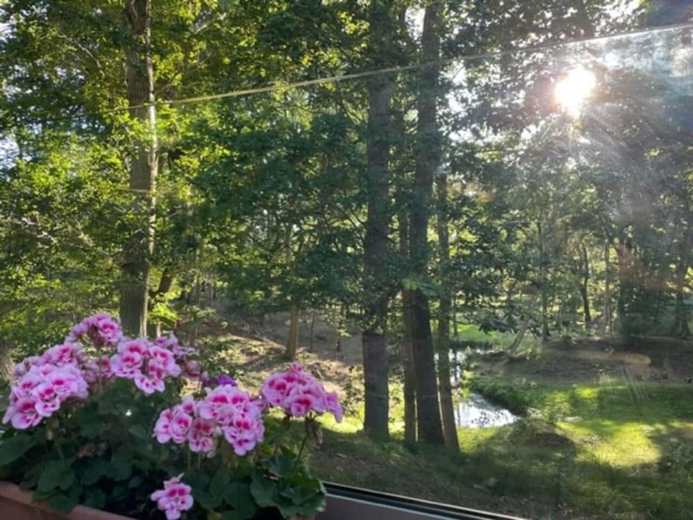 Luxury Cabin in the Woods