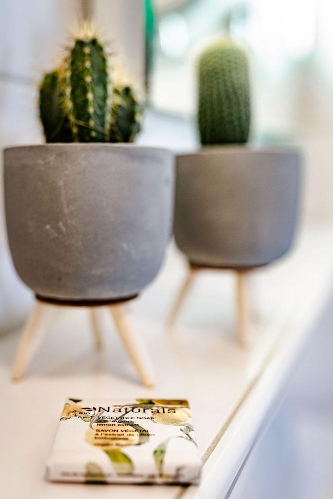 Tiny Parks Cast Away