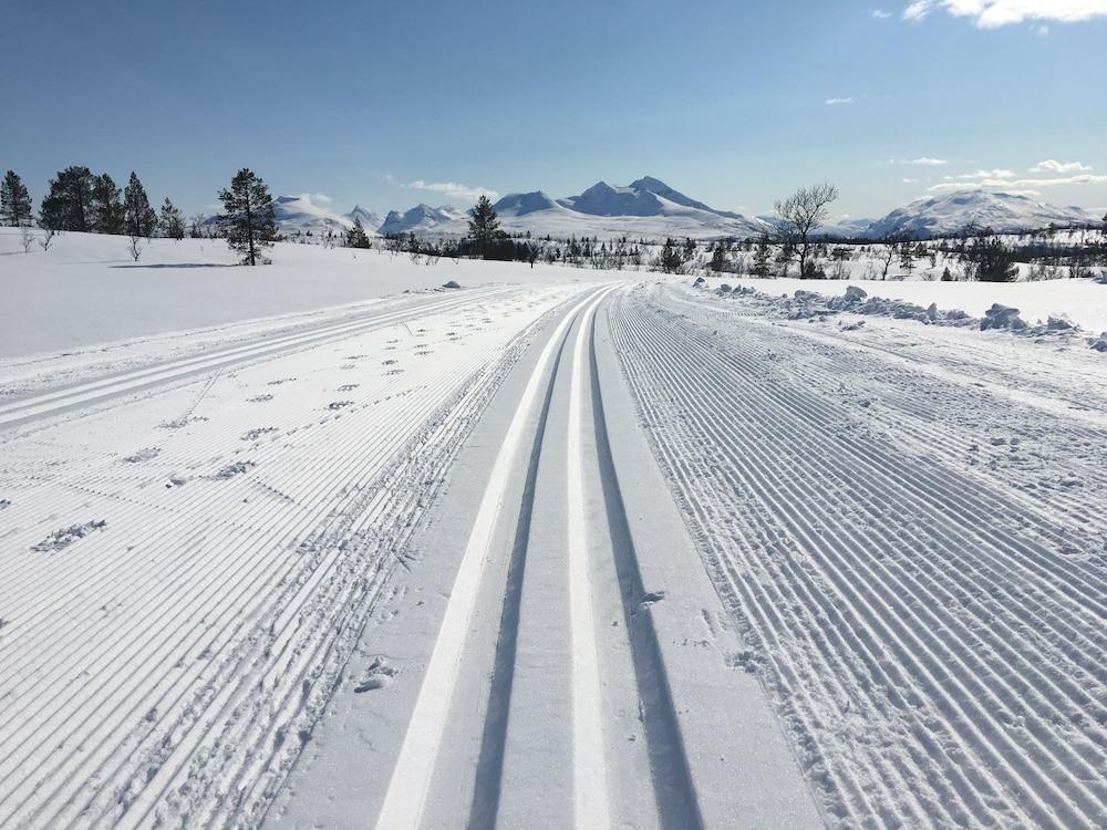 Basecamp NORD - Indoor Camping