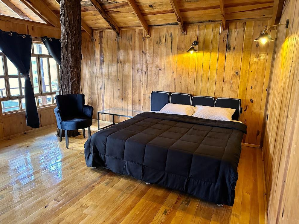 PINE TREE Hotel Boutique & Cabañas