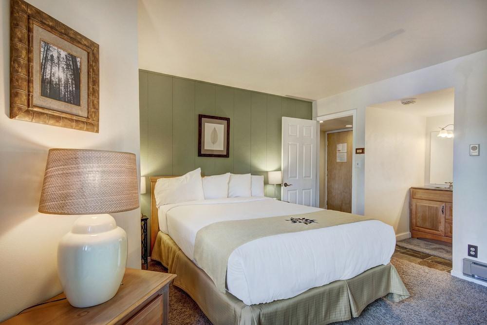 2BR/2BA Condo on Shuttle Route - Wild Irishman 1015 - Pool & more!