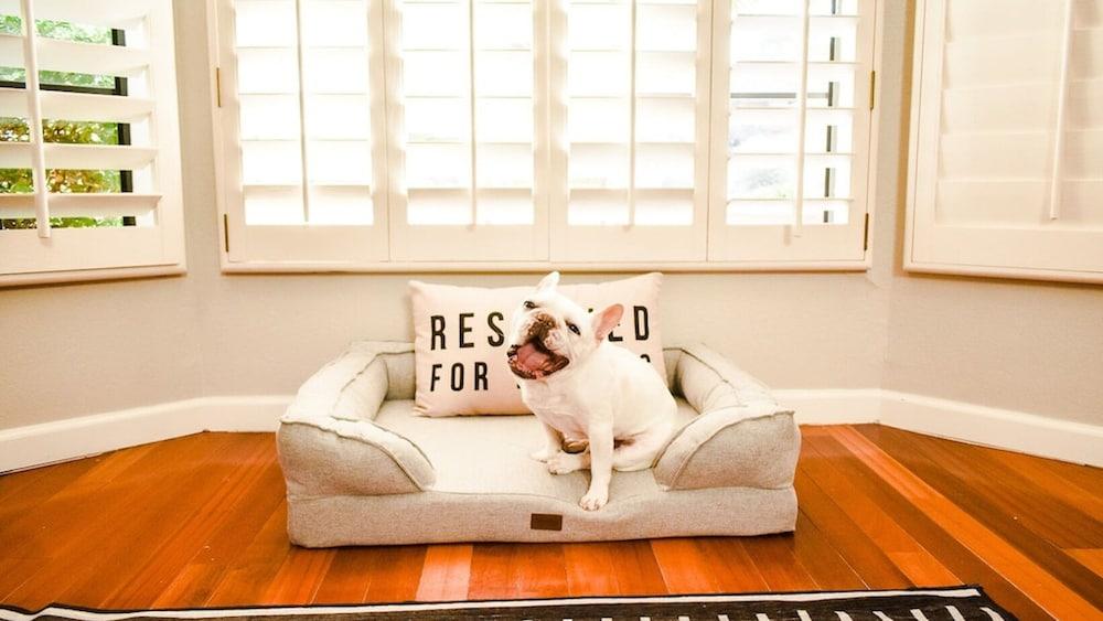 4-bdrm Vacation Dream Home W/backyard Paradise!