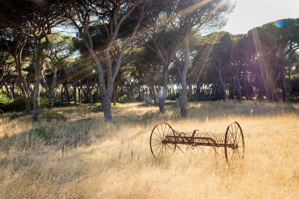 La Canova 3few min From sea