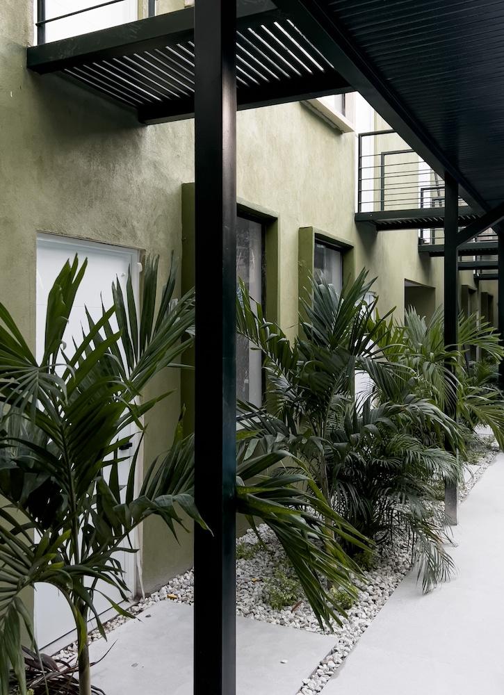 Hotel Oasis Tropical