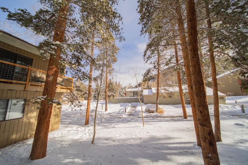 Flying Dutchman 1115