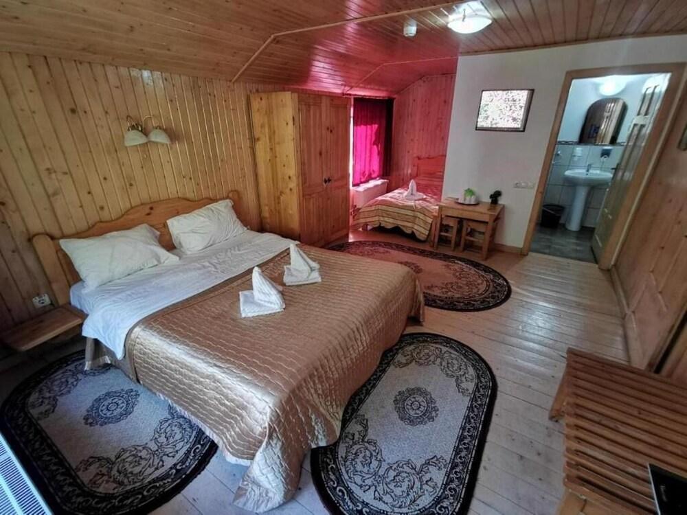 Pensiunea Valea Cetatii