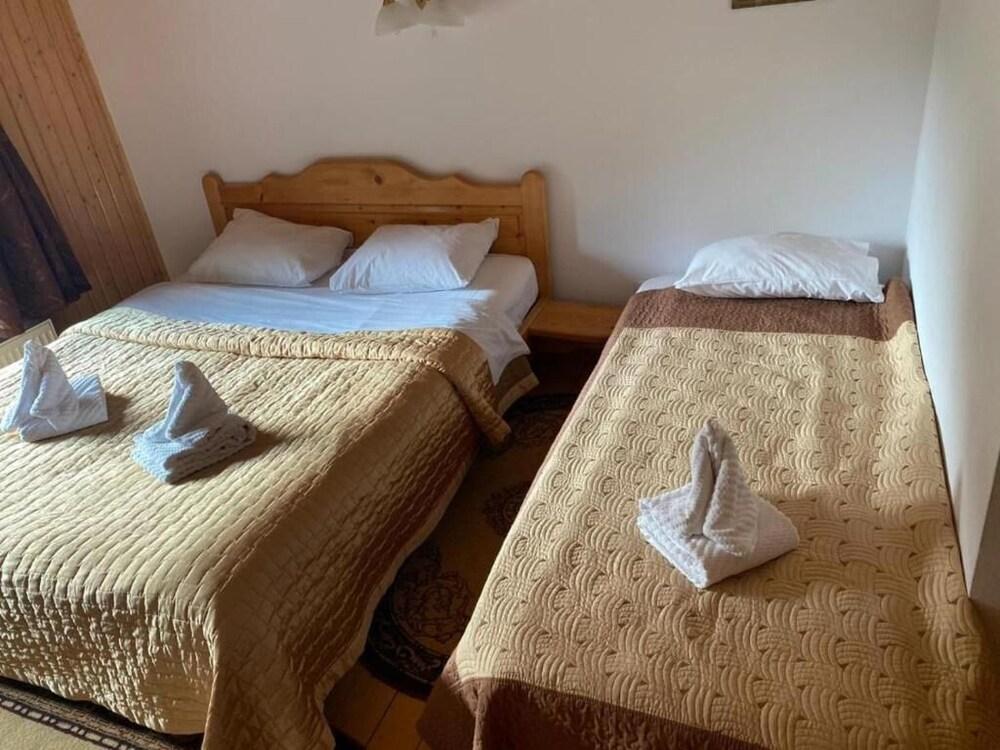 Pensiunea Valea Cetatii