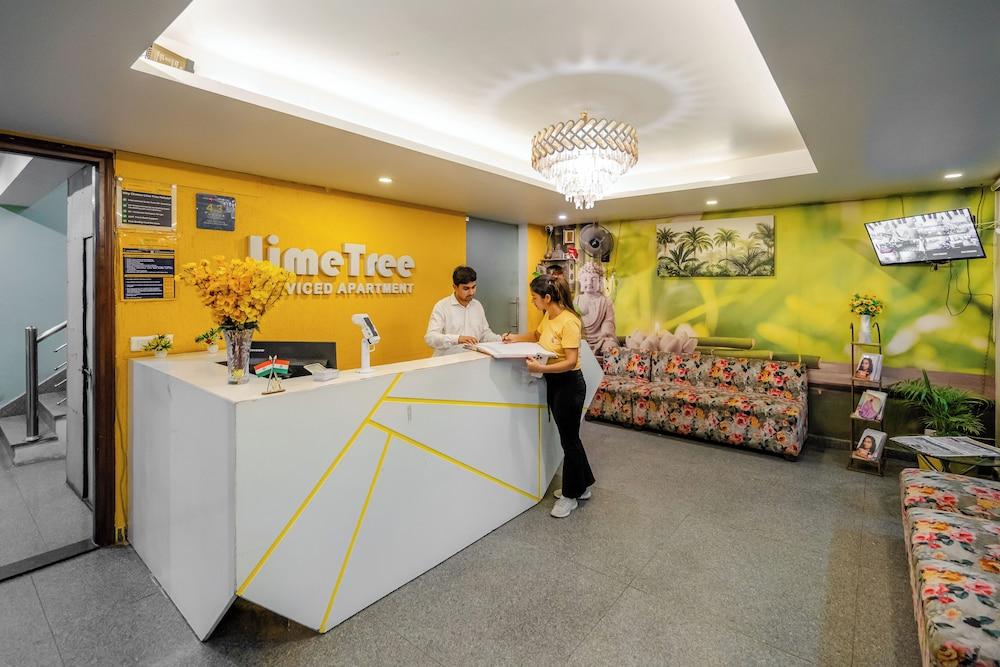 Lime Tree Luxury Studio