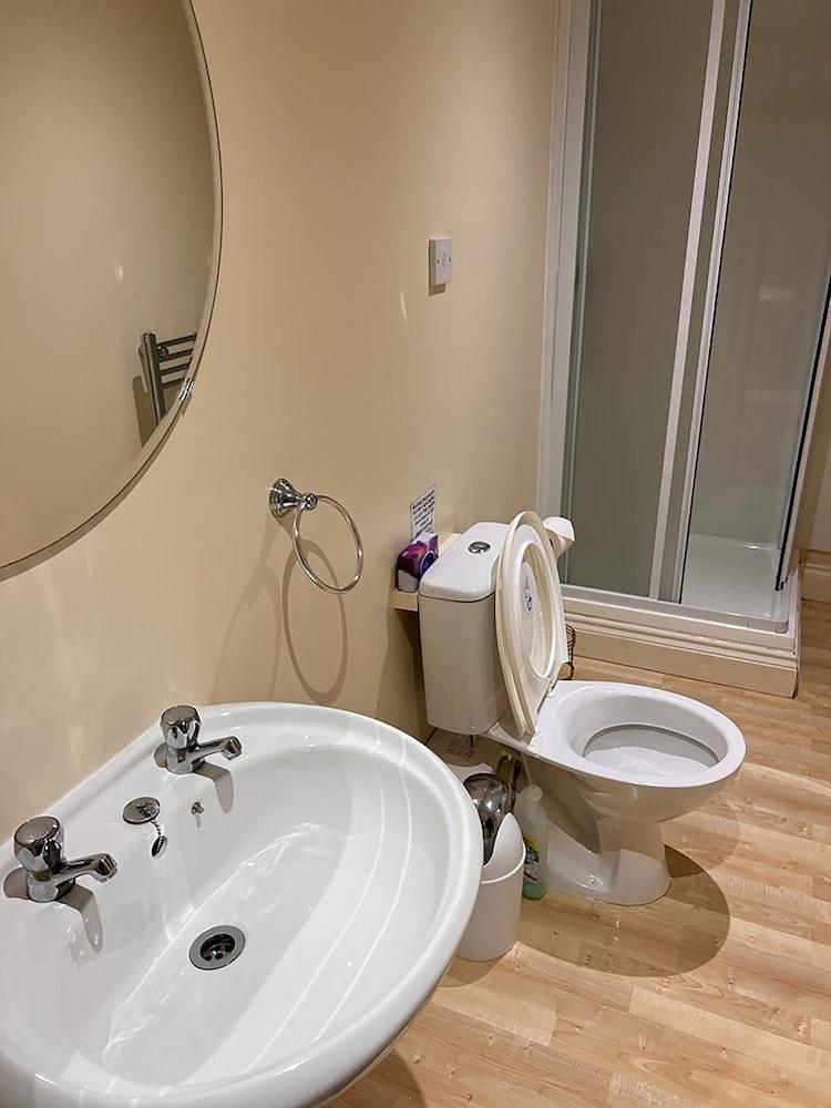 Lily Pad by Paymán Club