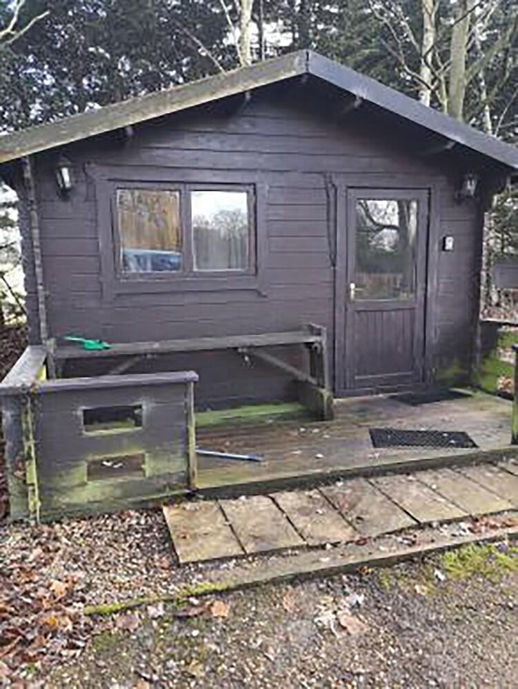 Willow by Paymán Club