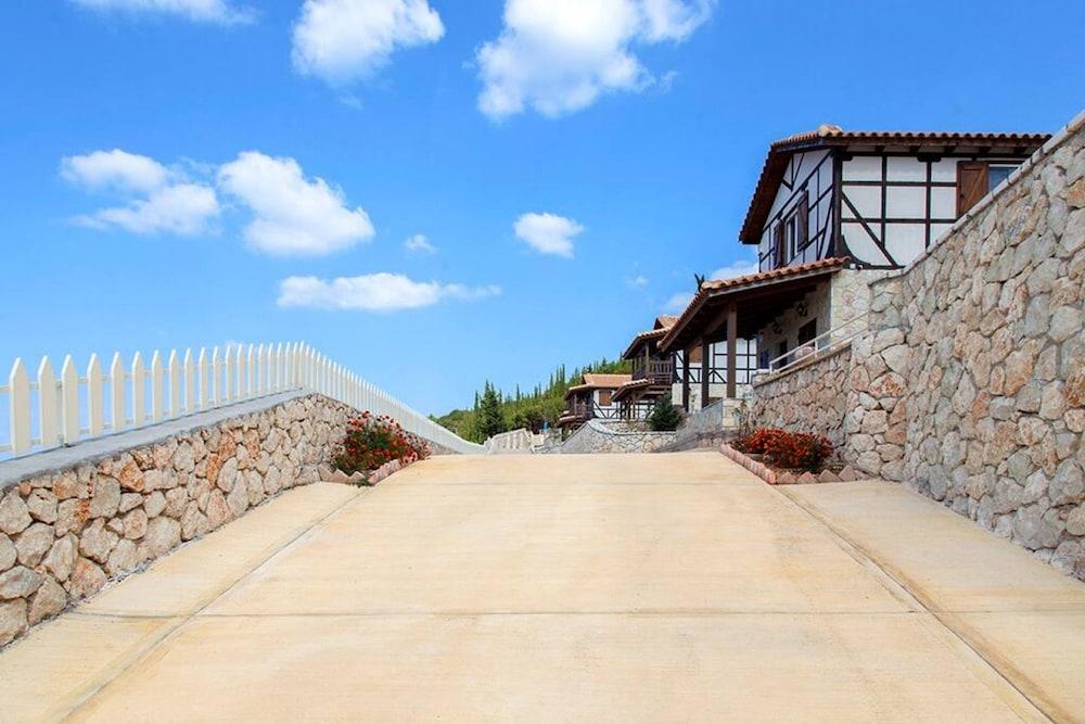 Vissala 1 Arenaria in Chortata