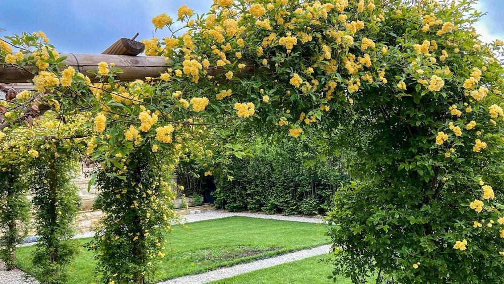 Palazzo Pozzo Bonelli 14