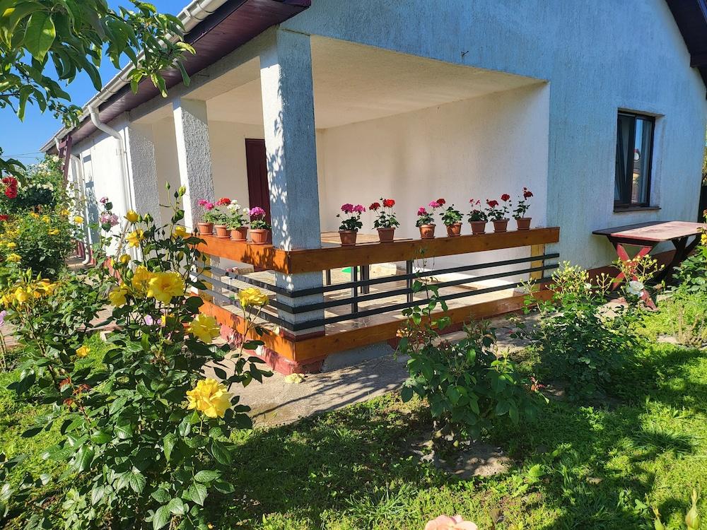 Delta crisan flamingo