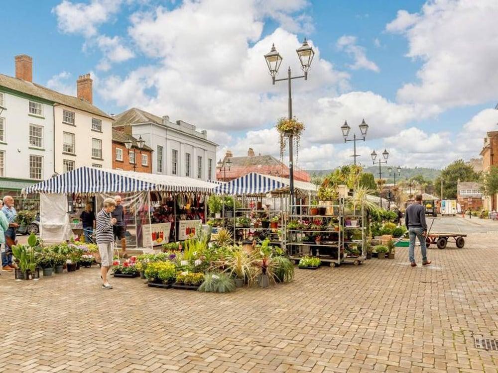 Goshawk 1 Bed Apartment In Ludlow Town Centre