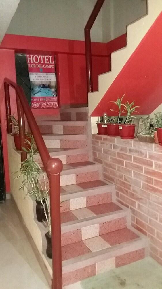 Hotel Flor del Campo