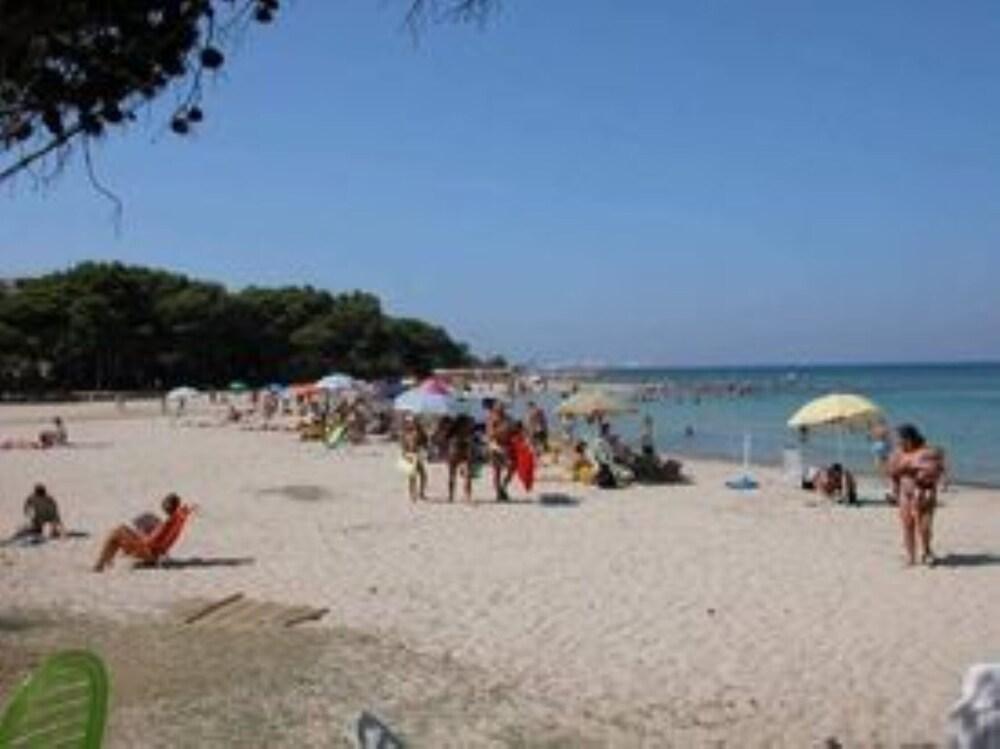 Splendid sea View Penthouse