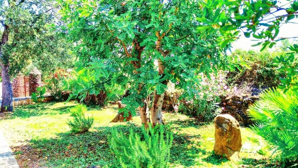 Villa Osala A in Orosei