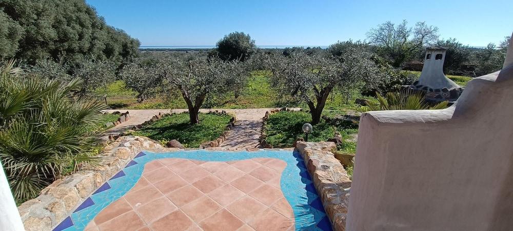 Il Paradiso Degli Ulivi B