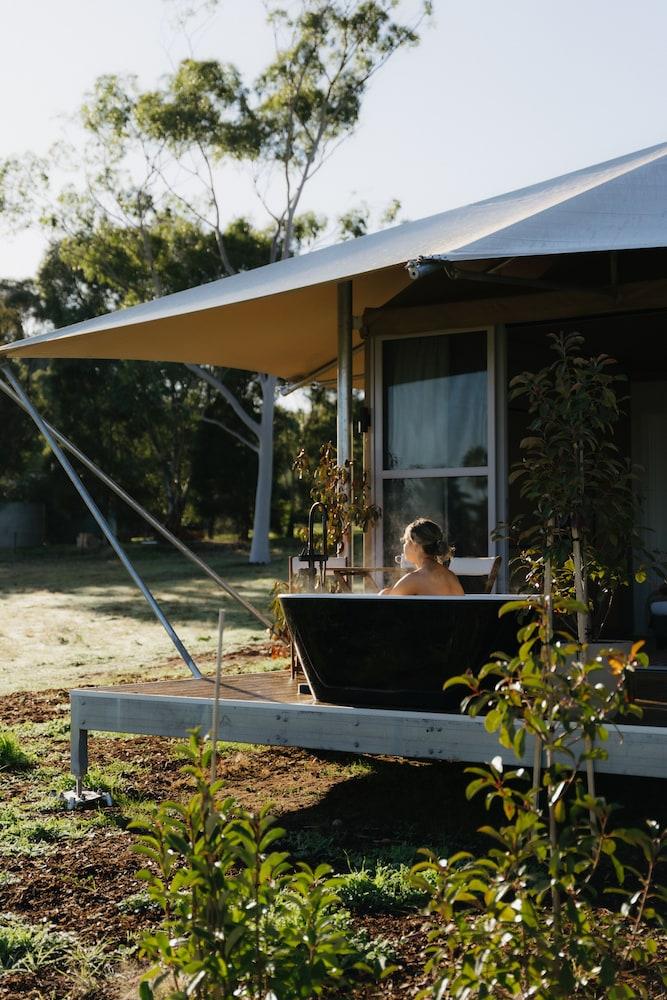 CANVS by CABN Seppeltsfield Barossa