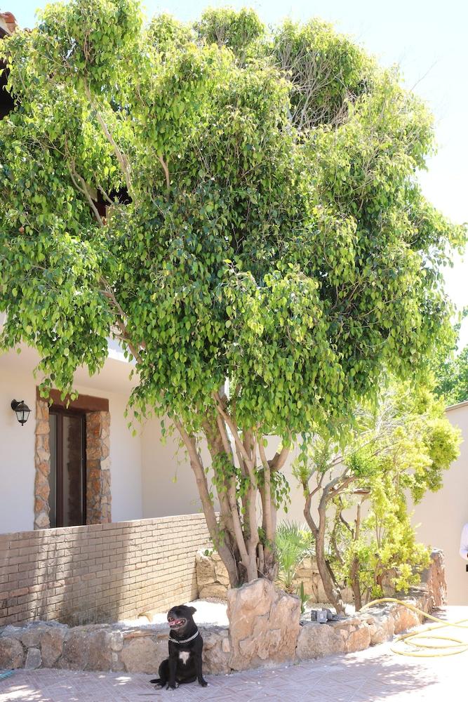 B Holidays Casa Vacanze